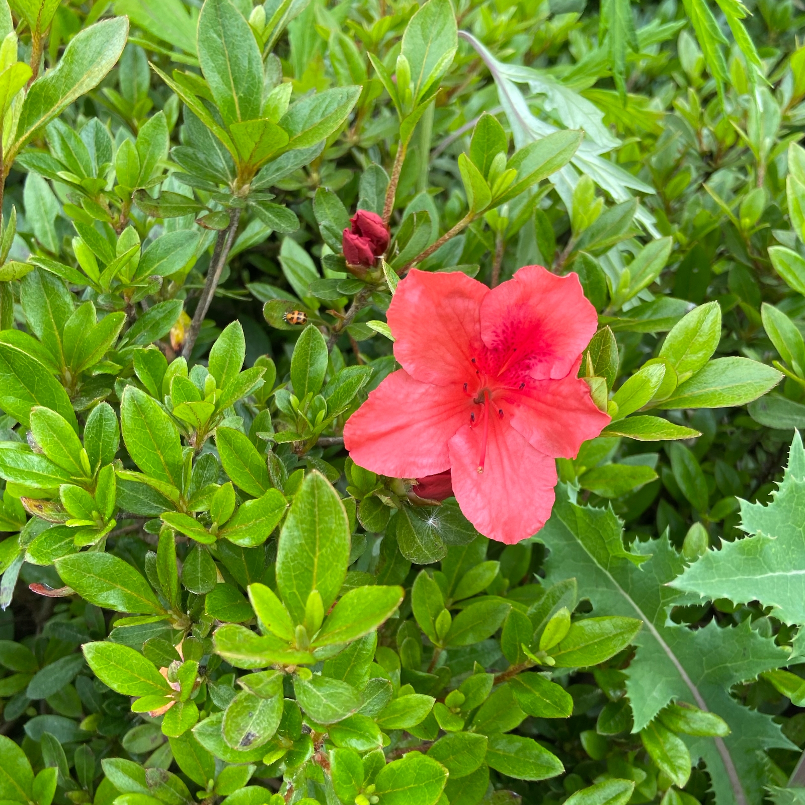 CCE90633-164B-4917-9566-086FADBB3436