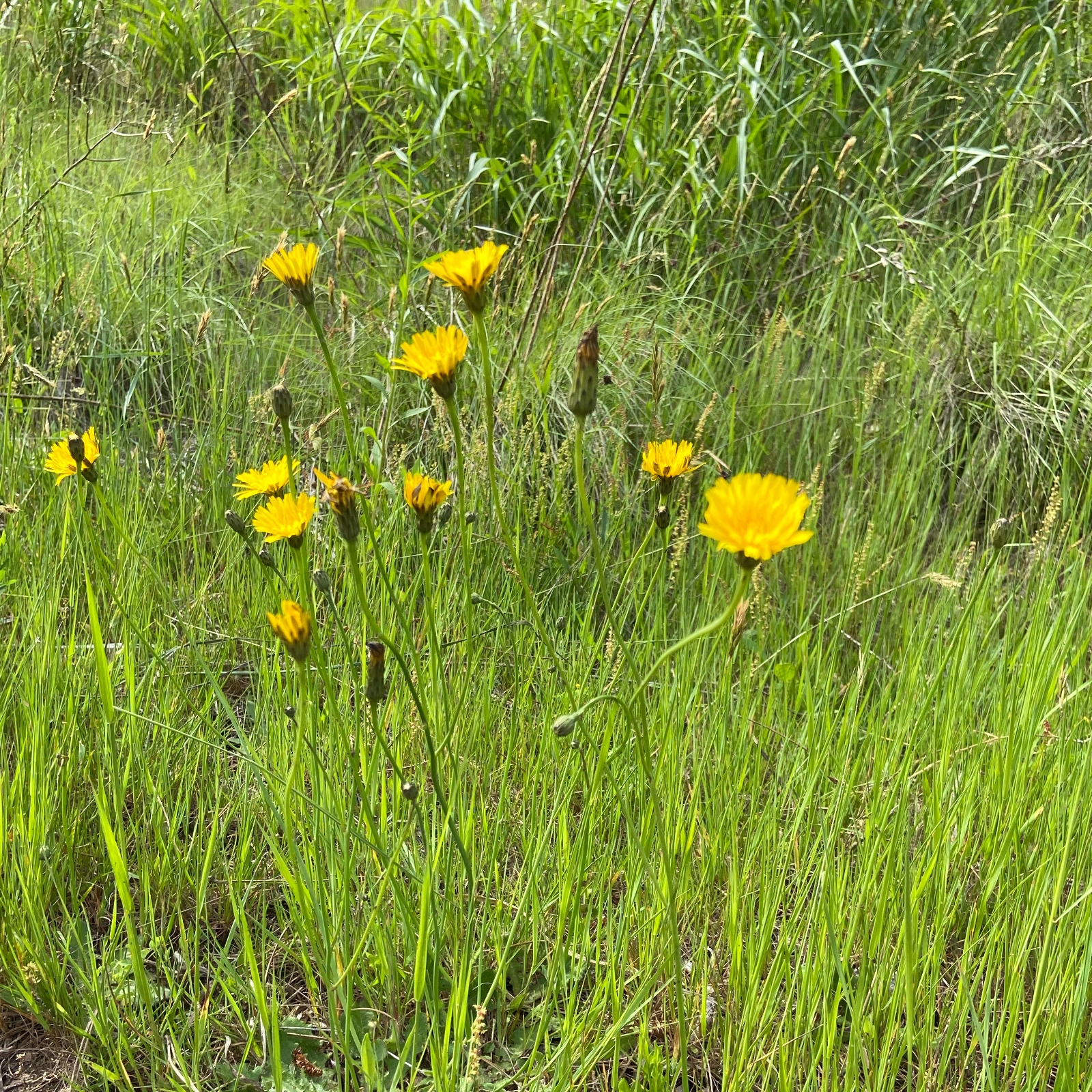 D1629443-E03A-43EA-8770-3DA7B29EC126