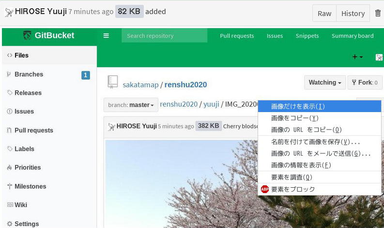 GitBucketの画像ビュー