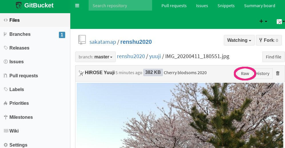 GitBucketの画像ビュー